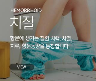 치질